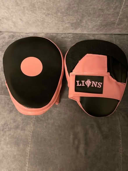 Photo of free Boxing gloves and pads (Crawley RH11) #1