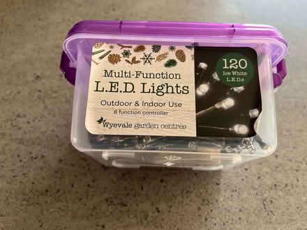 Photo of free Christmas lights (Bush EX23) #1
