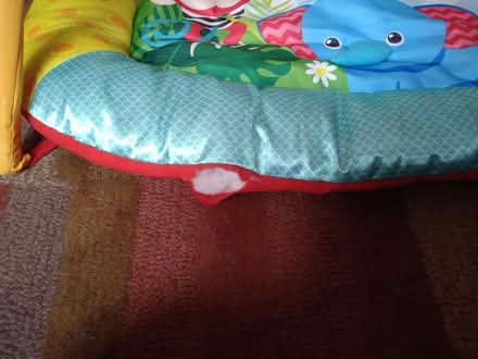 Photo of free Padded baby playmat (Greystones S11) #2