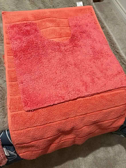 Photo of free Two Coral bathroom mats (Glastonbury, BA6) #1