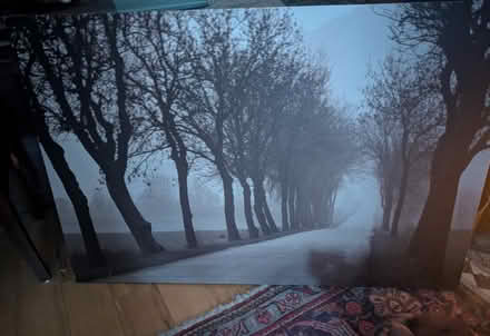 Photo of free Large canvas painting (Neasden NW10) #1