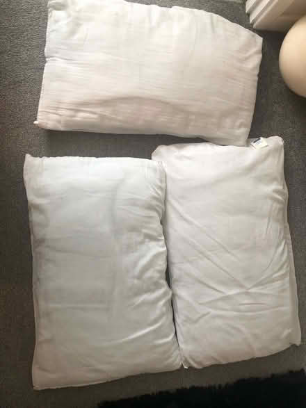 Photo of free 3 pillows (CR3) #1