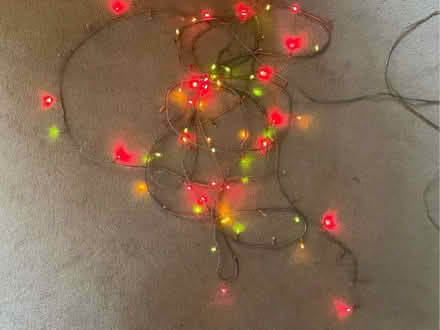 Photo of free Outdoor Christmas lights (East Carleton NR14) #3