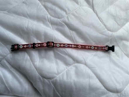 Photo of free Cat Harness / collar / leads (Water Eaton MK2) #3