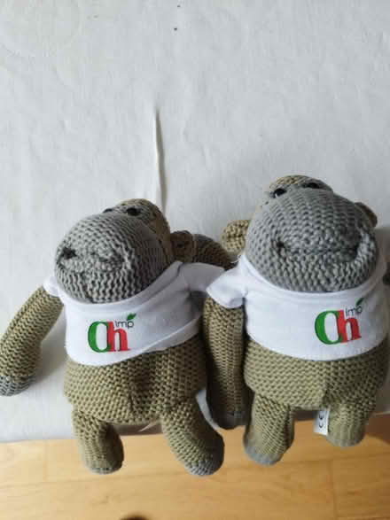 Photo of free Chimp teddies (Walton on Thames KT12) #1