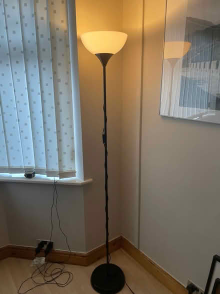 Photo of free Standing lamp (Penwortham, PR1) #1