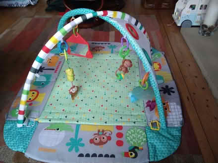 Photo of free Baby playmat (Greystones S11) #1