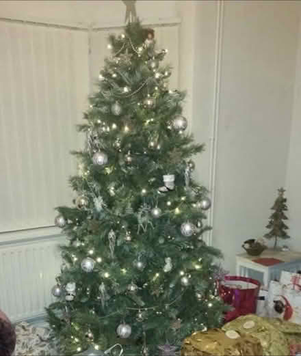 Photo of free 7ft Christmas tree (DE7 4DA) #1