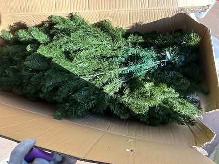 Photo of free Artificial Christmas tree (North Barrington) #1