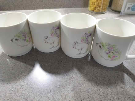 Photo of free Set of 4 mugs (Sutton in Ashfield NG17) #1
