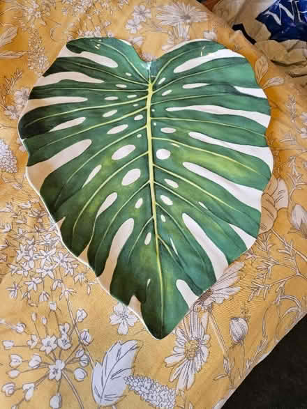 Photo of free Leaf melamine serving plate (Warwick CV34) #1