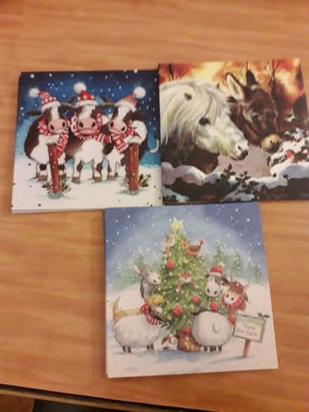 Photo of free Charity Christmas cards & envelopes (Queens Park BH9) #1