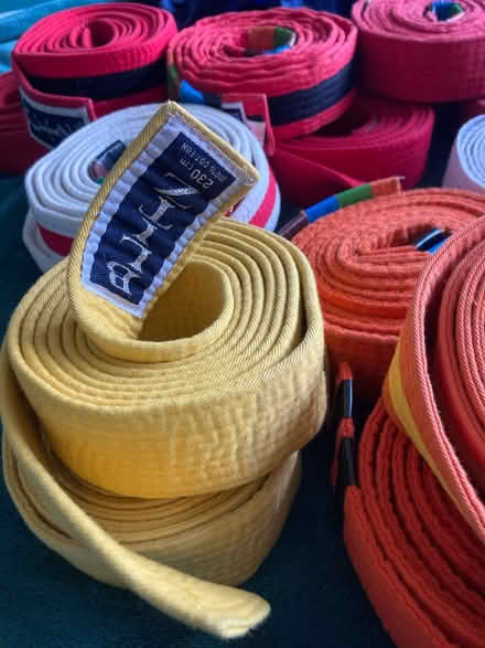 Photo of free Martial arts belts (Cromford DE4) #2