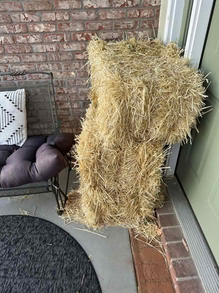 Photo of free 3 bales of straw (Governors Ranch Littleton) #1