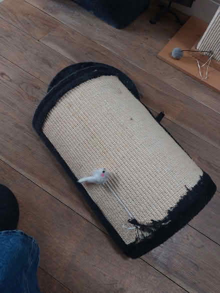 Photo of free Cat scratching post (Ringmer BN8) #3