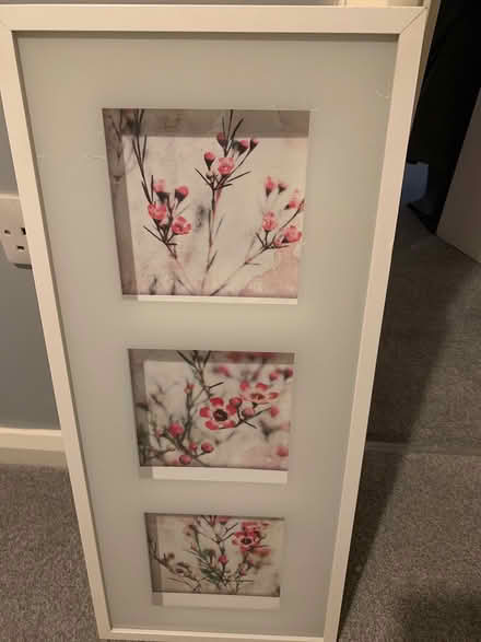 Photo of free Picture (Coventry CV6) #1