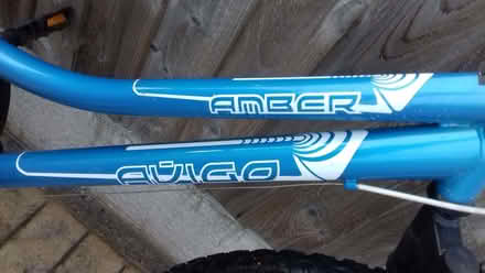 Photo of free Ladies bike (Heald Green SK8) #2