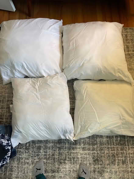 Photo of free 4 large pillow inserts (Six mile and Merriman) #1