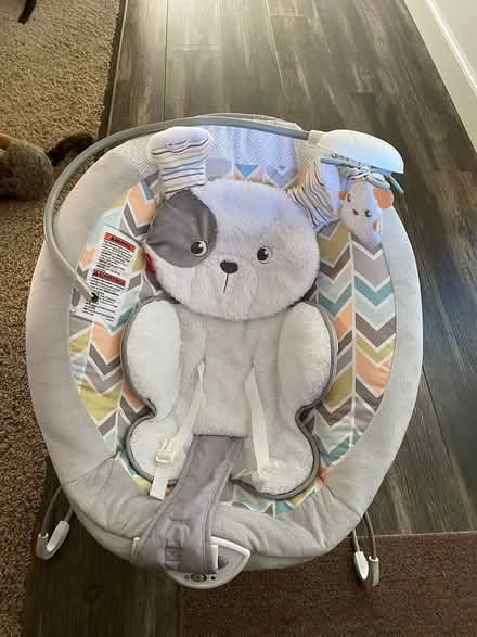 Photo of free Baby bouncy seat (Near Fairgrounds. Pleasanton) #1