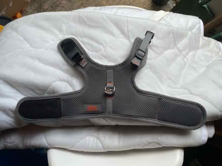 Photo of free Cat Harness / collar / leads (Water Eaton MK2) #1