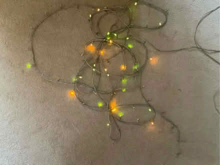 Photo of free Outdoor Christmas lights (East Carleton NR14) #2