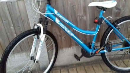 Photo of free Ladies bike (Heald Green SK8) #4