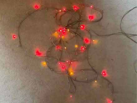 Photo of free Outdoor Christmas lights (East Carleton NR14) #1