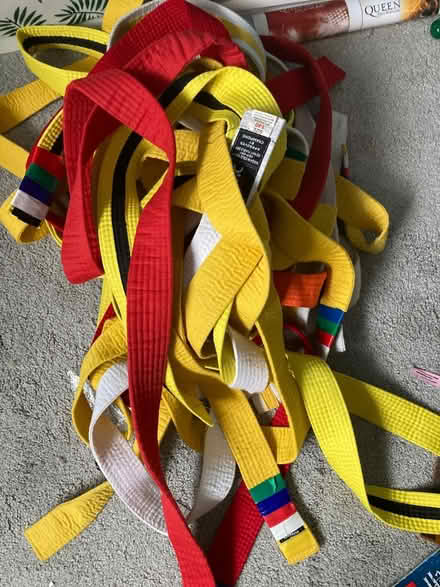 Photo of free Karate belts (OX1 henwood) #1