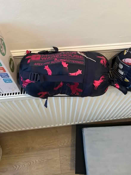 Photo of free Kids sleeping bags x2 (Addiscombe) #2