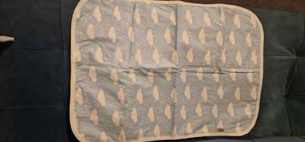 Photo of free Changing mat (Walthamstow E17) #1