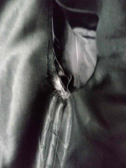 Photo of free Zara coat L (Addiscombe CR0) #4