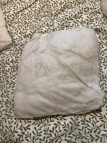 Photo of free 4 pillows (Archway) #3