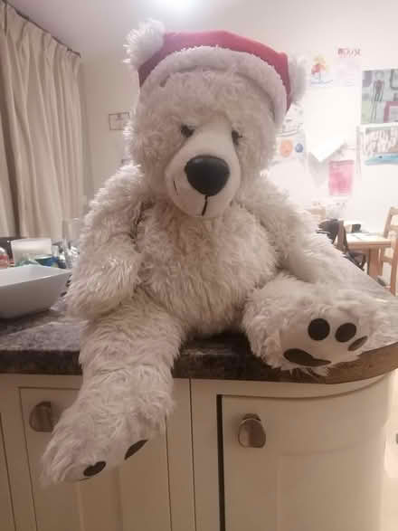 Photo of free Cute large Christmas teddy (Bramley LS13) #1