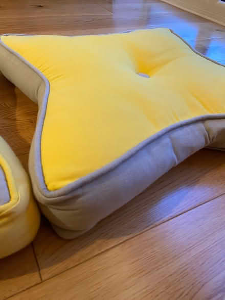 Photo of free Cushions (Pair) (Purley on Thames, RG8) #2
