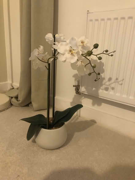 Photo of free Artificial orchard potted plant M&S (WA4 1DL) #1