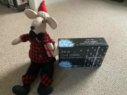 Photo of free Christmas mouse + star lights (Sale, M33) #1