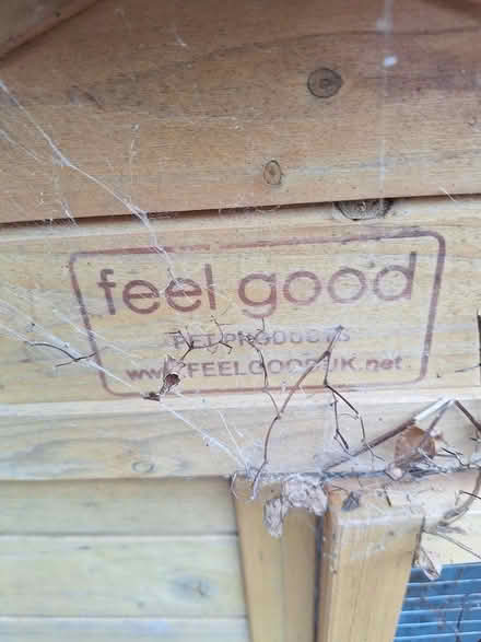Photo of free Guinea Pig Hutch (Glen parva LE2) #4