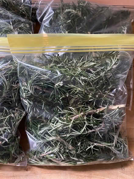 Photo of free Bag of Rosemary πΏ (New Southgate, N11) #3