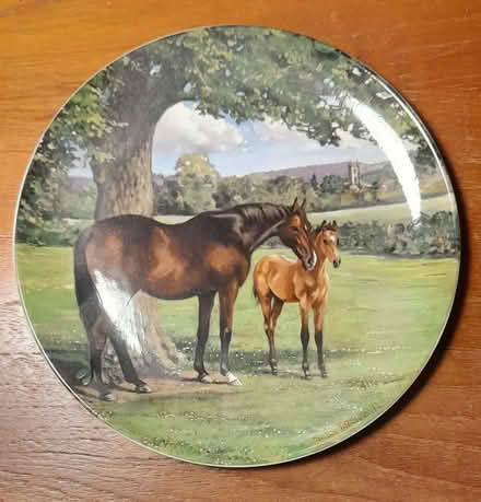 Photo of free Spode thoroughbred horse plate - 8 1/2" (Bernards Heath AL1) #1