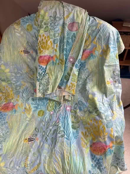 Photo of free Pair of curtains (Horfield BS7) #1