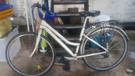 Photo of free Ladies bike ridgeback (Headington Quarry OX3) #1