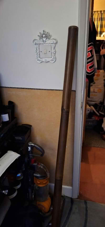 Photo of free didgeridoo (Welling) #2