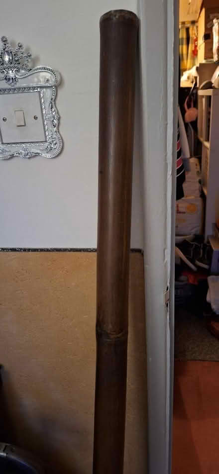 Photo of free didgeridoo (Welling) #1
