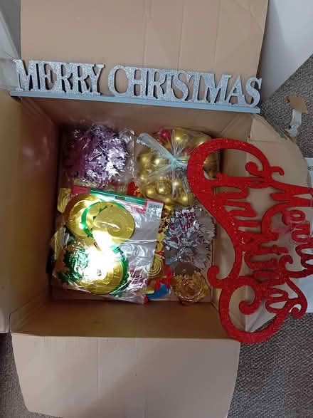 Photo of free Christmas decorations (Hatfield Peverel CM3) #1