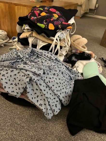 Photo of free Girls clothes 11/12 (Dunstable) #1