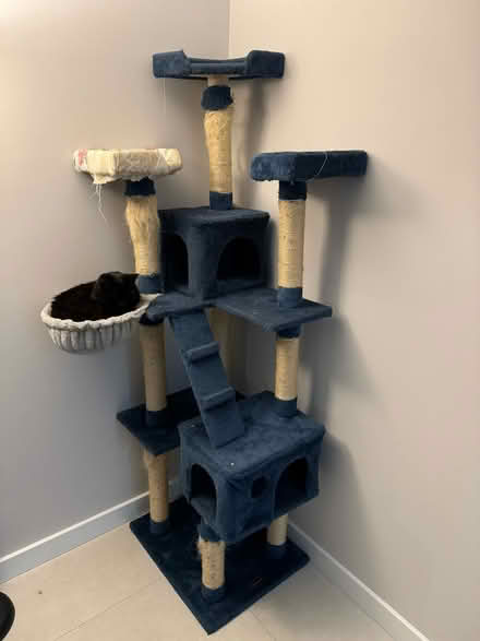 Photo of free Cat tree (Amersham HP6) #1