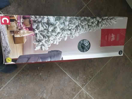 Photo of free 6ft Snowy Pine Christmas Tree (Sutton in Ashfield NG17) #1