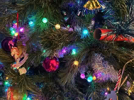 Photo of free Christmas Lights (Derwent Road LA1) #3