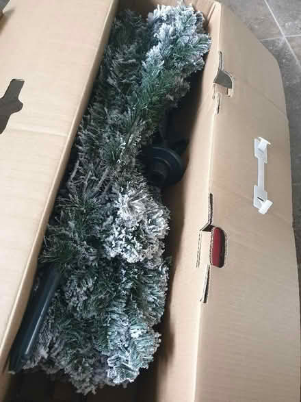 Photo of free 6ft Snowy Pine Christmas Tree (Sutton in Ashfield NG17) #3
