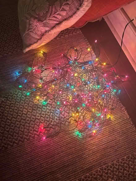 Photo of free LED Christmas lights (South Philadelphia) #2